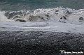 VBS_7227 - Arenzano Capodanno 2026